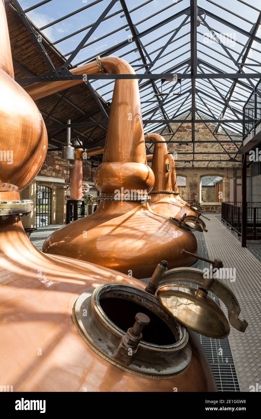 Distillateurs de cuivre à la distillerie Borders, Hawick, Écosse, Royaume-Uni. Lauréat du prix Architects Journal Retrofit 2018 et du prix Civic Trust 2019 Banque D'Images