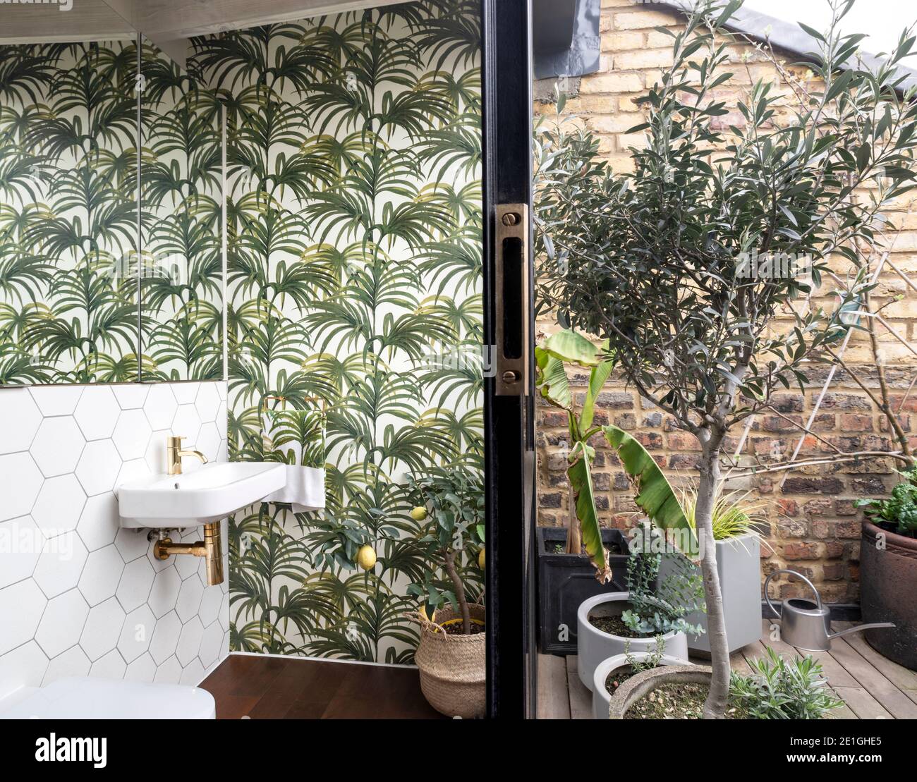 Toilettes donnant sur la terrasse privée. Rénovation et agrandissement d'une maison en terrasse victorienne à Hackney, dans l'est de Londres, par Dallas–Pierce–Quintero. Banque D'Images