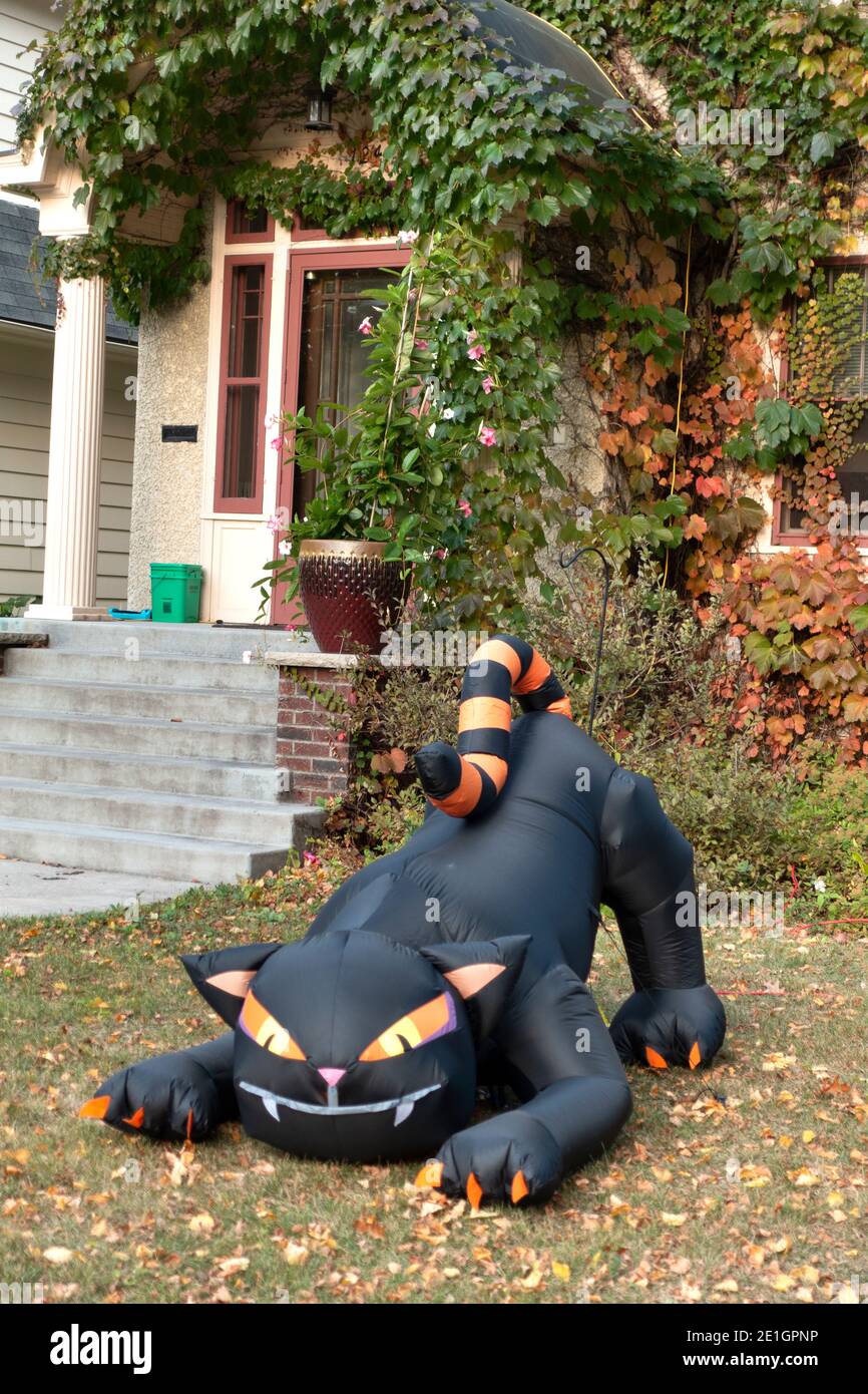 Halloween décoration d'une grande panthère noire de soufflage automatique effrayante. Mieux vaut ne pas passer la nuit ! St Paul Minnesota MN États-Unis Banque D'Images