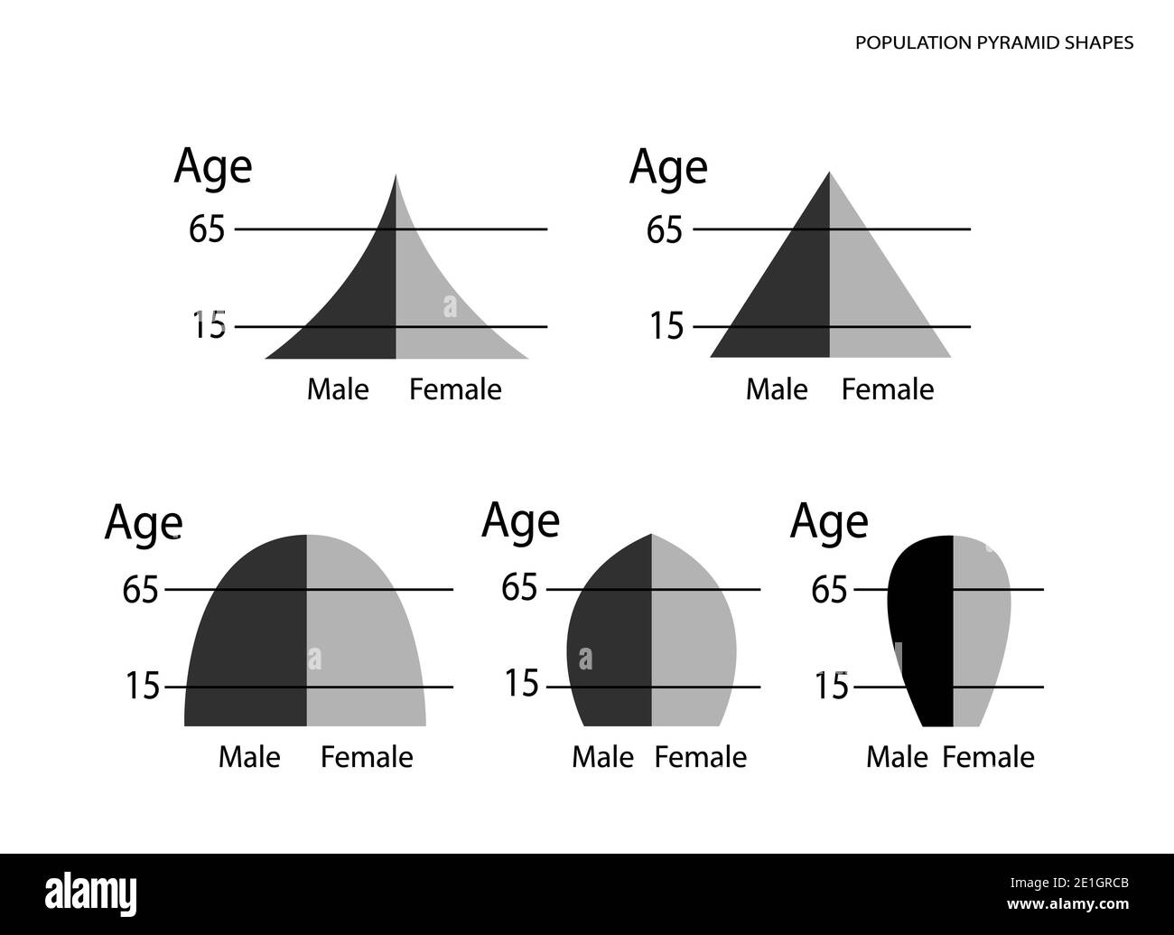 Population et démographie, ensemble d'illustrations de 5 types de graphique des pyramides de population ou graphique de la structure par âge isolé sur fond blanc. Banque D'Images