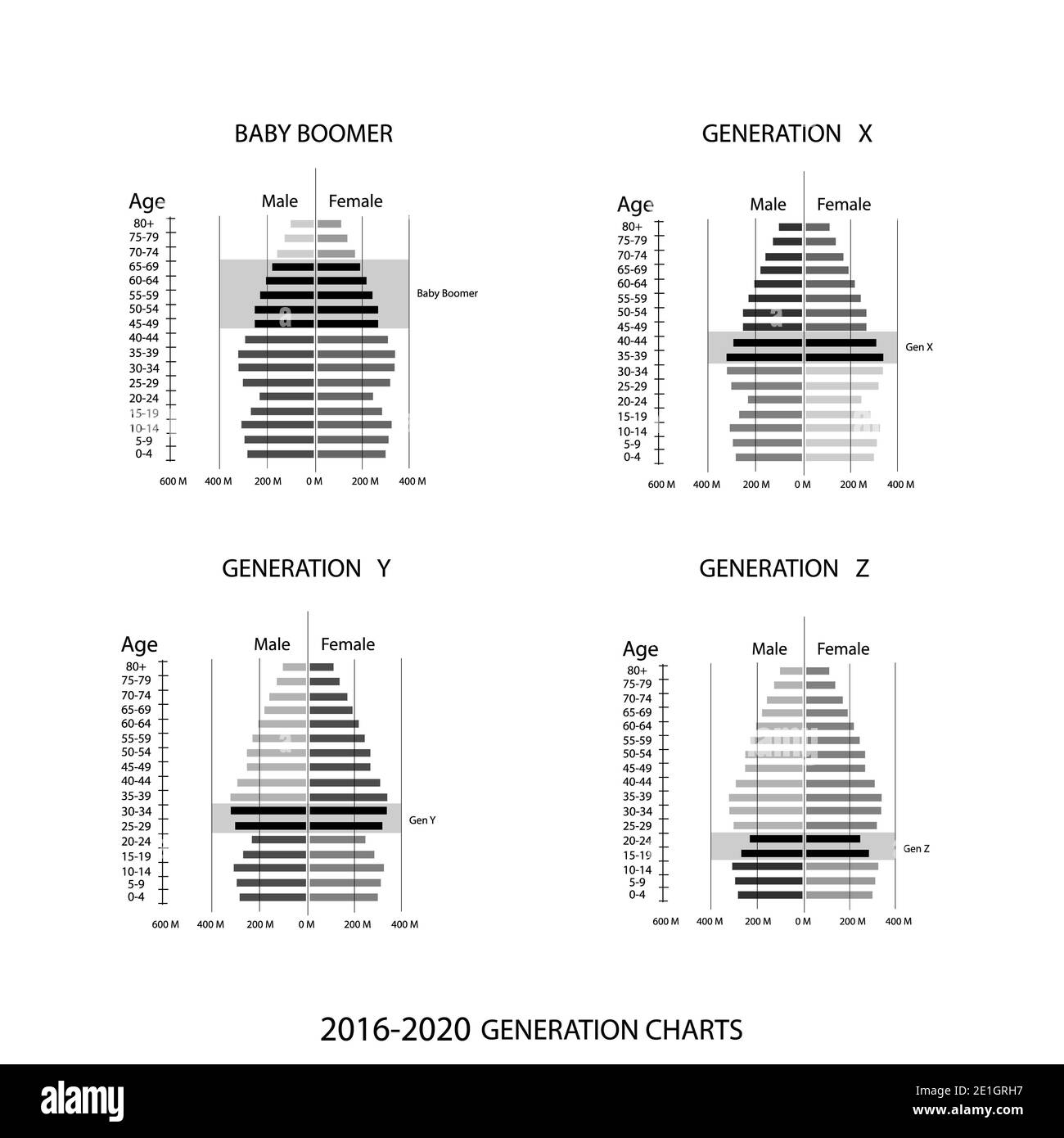 Population et démographie, graphique des pyramides de la population ou graphique de la structure par âge avec génération de baby-boomers, génération X, génération y et génération Z de 2016 à 2020. Banque D'Images