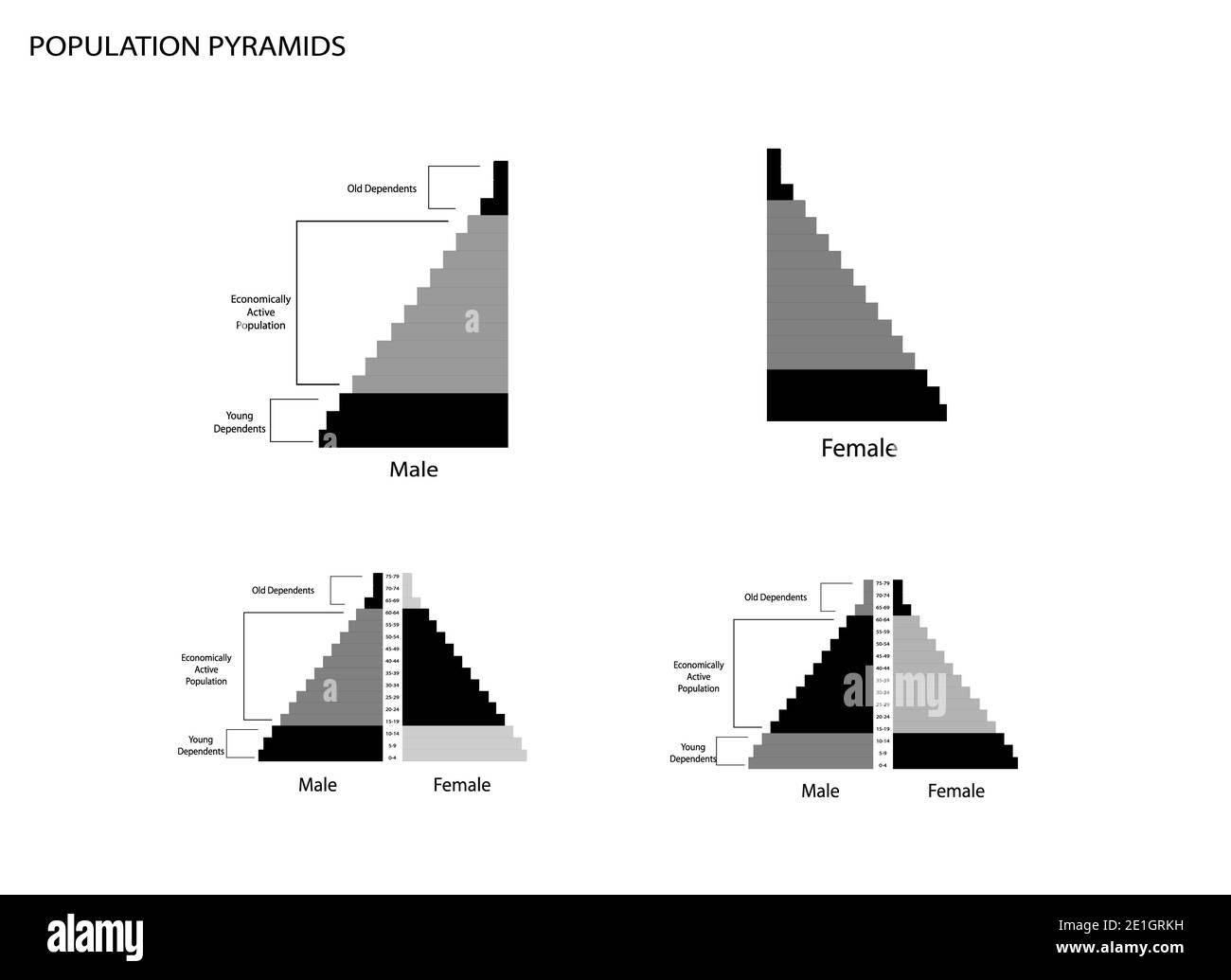 Population et démographie, graphique des pyramides de la population ou graphique de la structure par âge avec génération de baby-boomers, génération X, génération y et génération Z. Banque D'Images