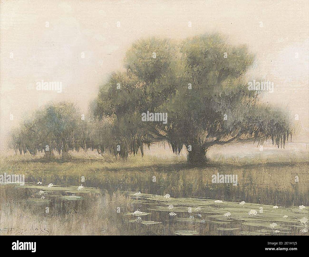 Louisiana Live Oaks Audubon Park Alexander Drysdale. Banque D'Images