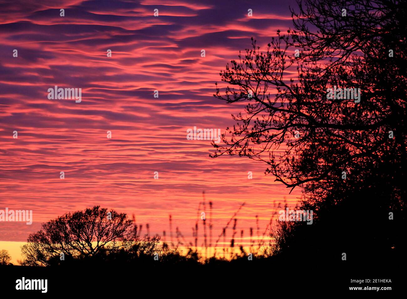 Skyscape et formations de nuages Banque D'Images