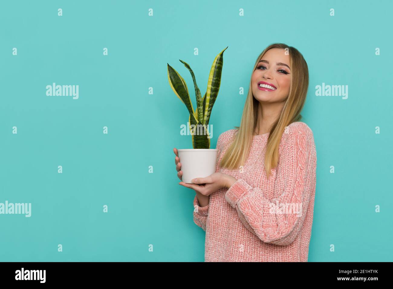 Souriant belle jeune femme en chandail rose pose avec une plante dans pot blanc. Taille haute studio tourné sur fond turquoise. Banque D'Images