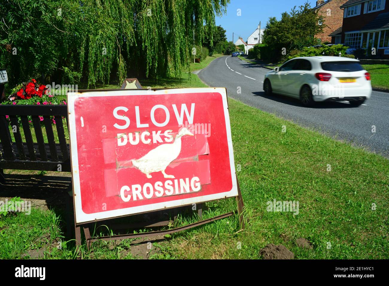panneau d'avertissement de traversée de canard dans le village de muston yorkshire royaume-uni Banque D'Images