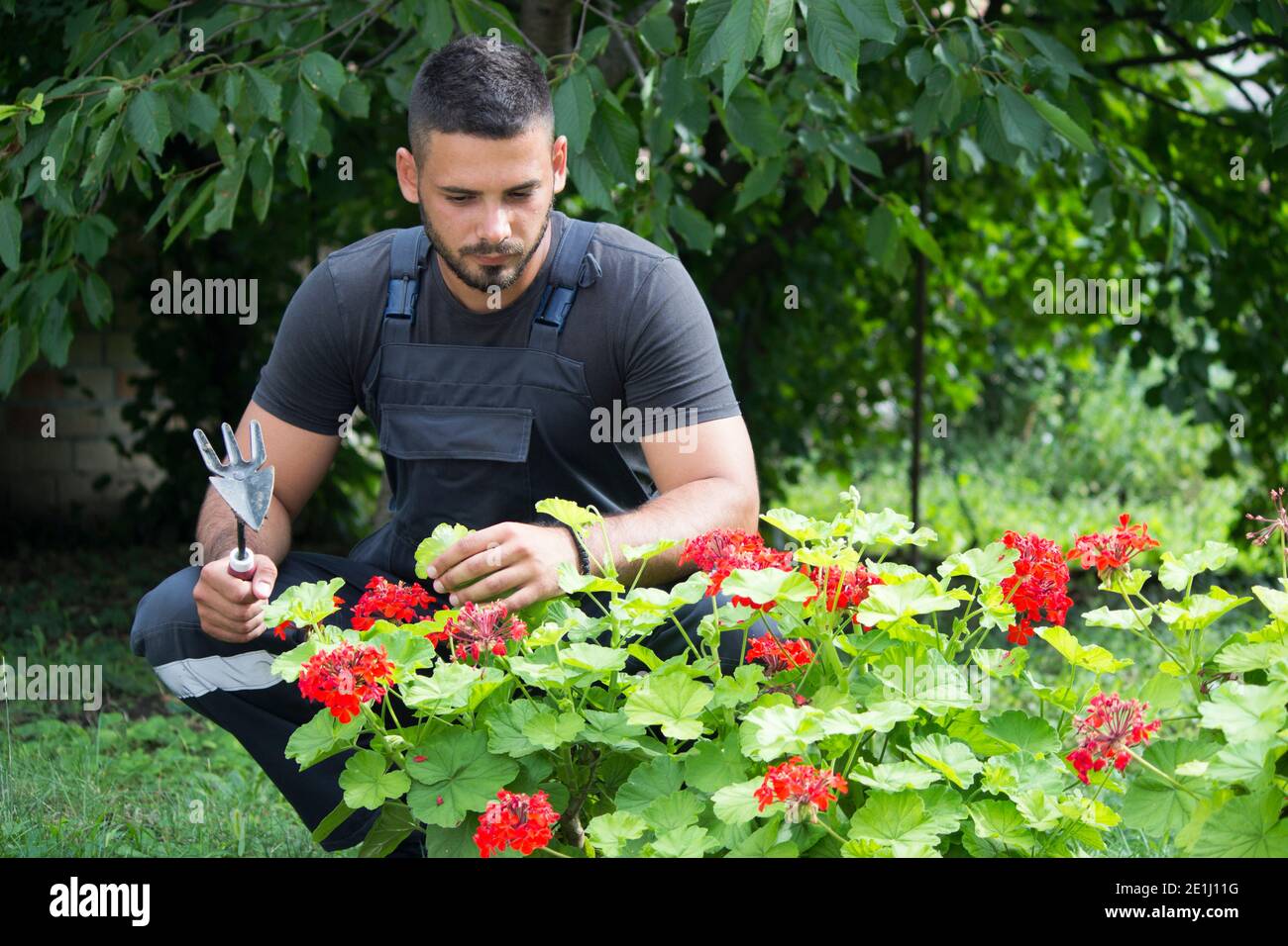 jardinier homme Banque D'Images