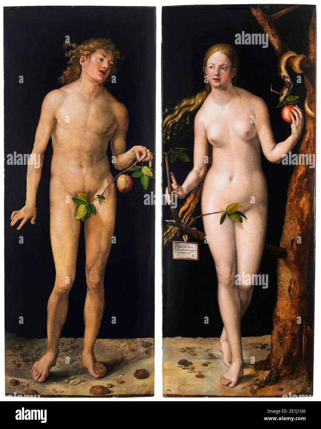 Adam et Eve, peinture d'Albrecht Dürer, 1507 Banque D'Images
