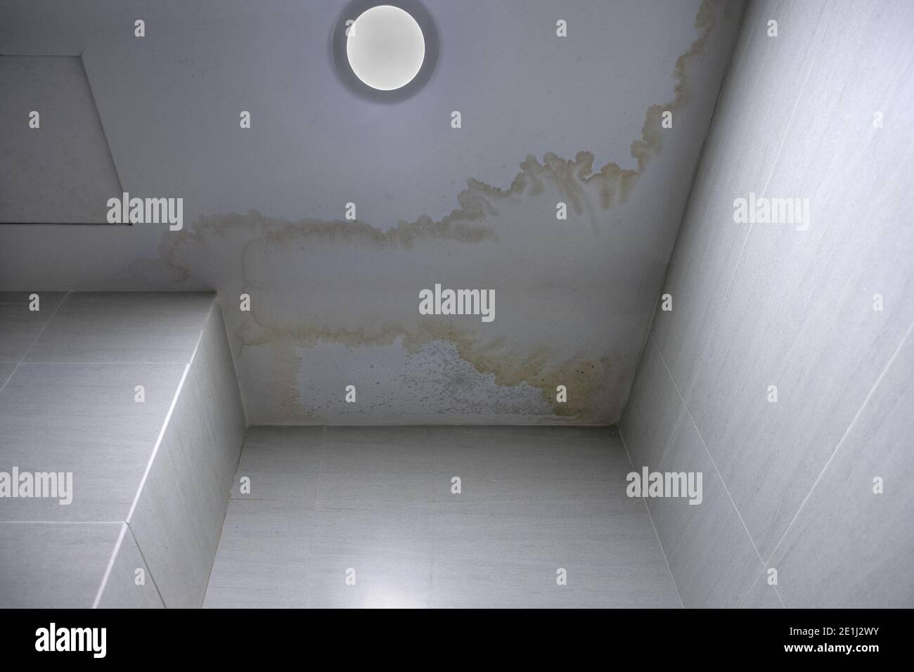 Toit présentant une fuite, plafond endommagé. Taches de moisissure sur le plafond en raison des inondations. Banque D'Images