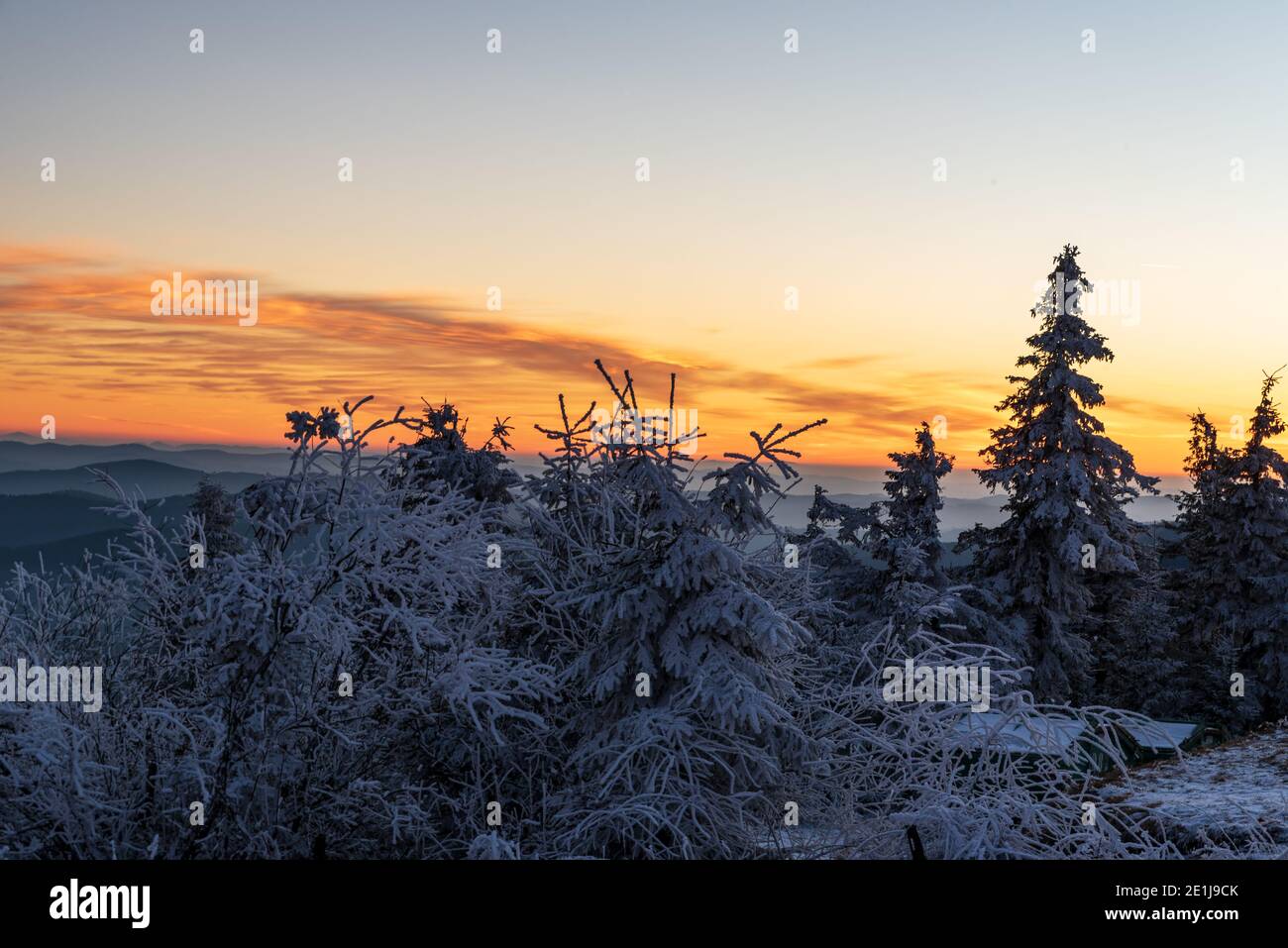 Paysage glacial de la fin de l'automne avec des arbres plus petits, des collines et un ciel orange quelques minutes après le coucher du soleil sur la colline de Lysa hora dans Moravskoslezske Beskydy mou Banque D'Images