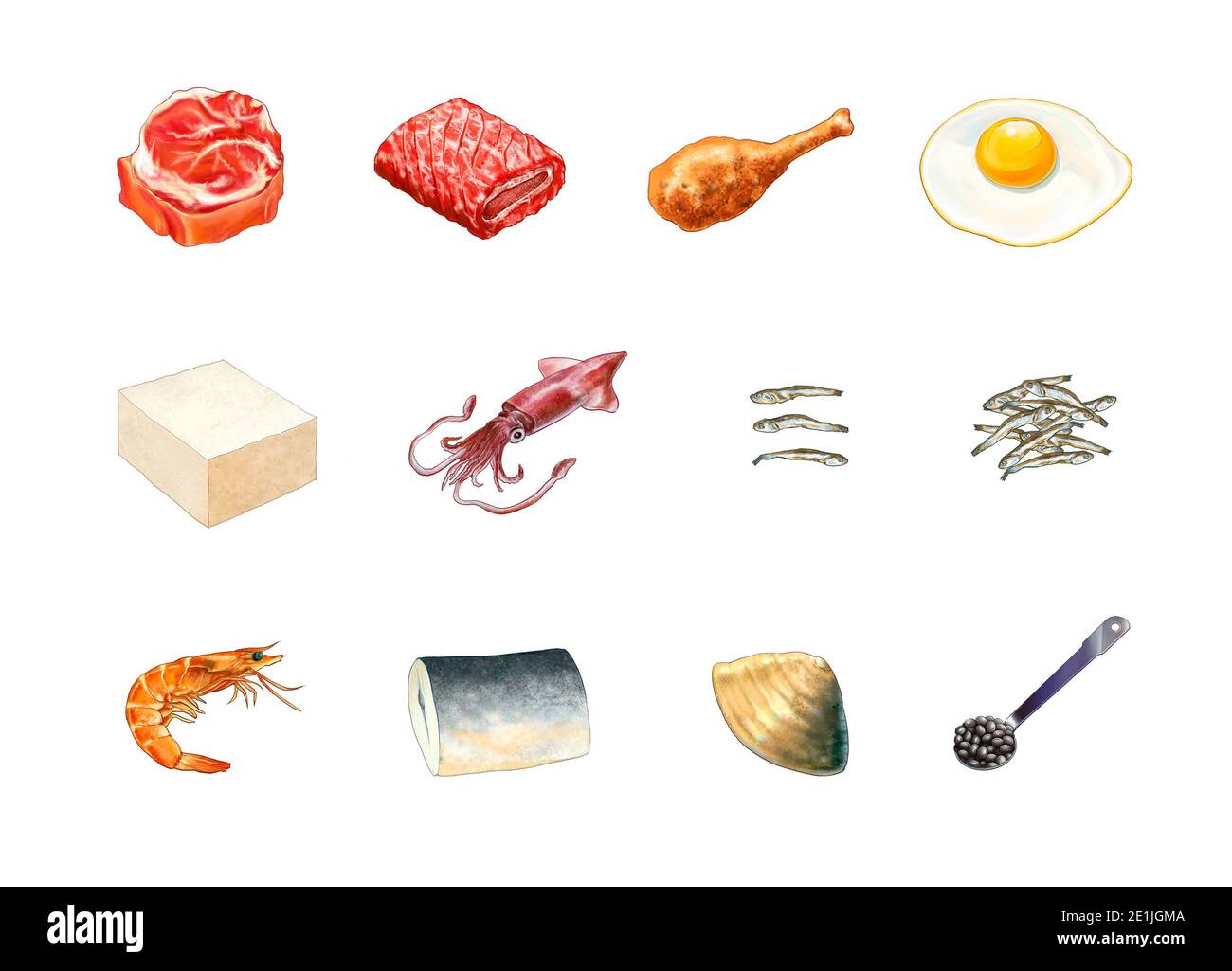 une illustration détaillée de douze ensembles de viande et de poisson Banque D'Images