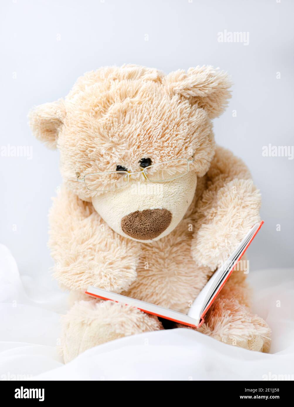 Un adorable ours en peluche beige pour les enfants lunettes est en train de lire un livre Banque D'Images