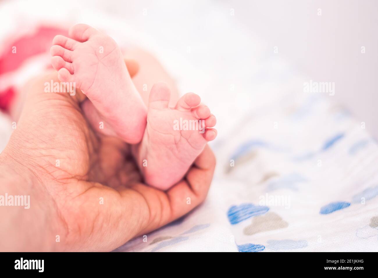 Petit nouveau-né pied rose tenu par la main du père Banque D'Images