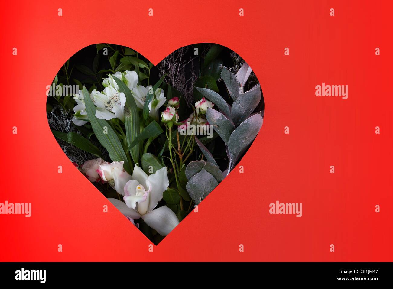Joyeux Anniversaire Carte Avec Orchidee Rose Photo Stock Alamy