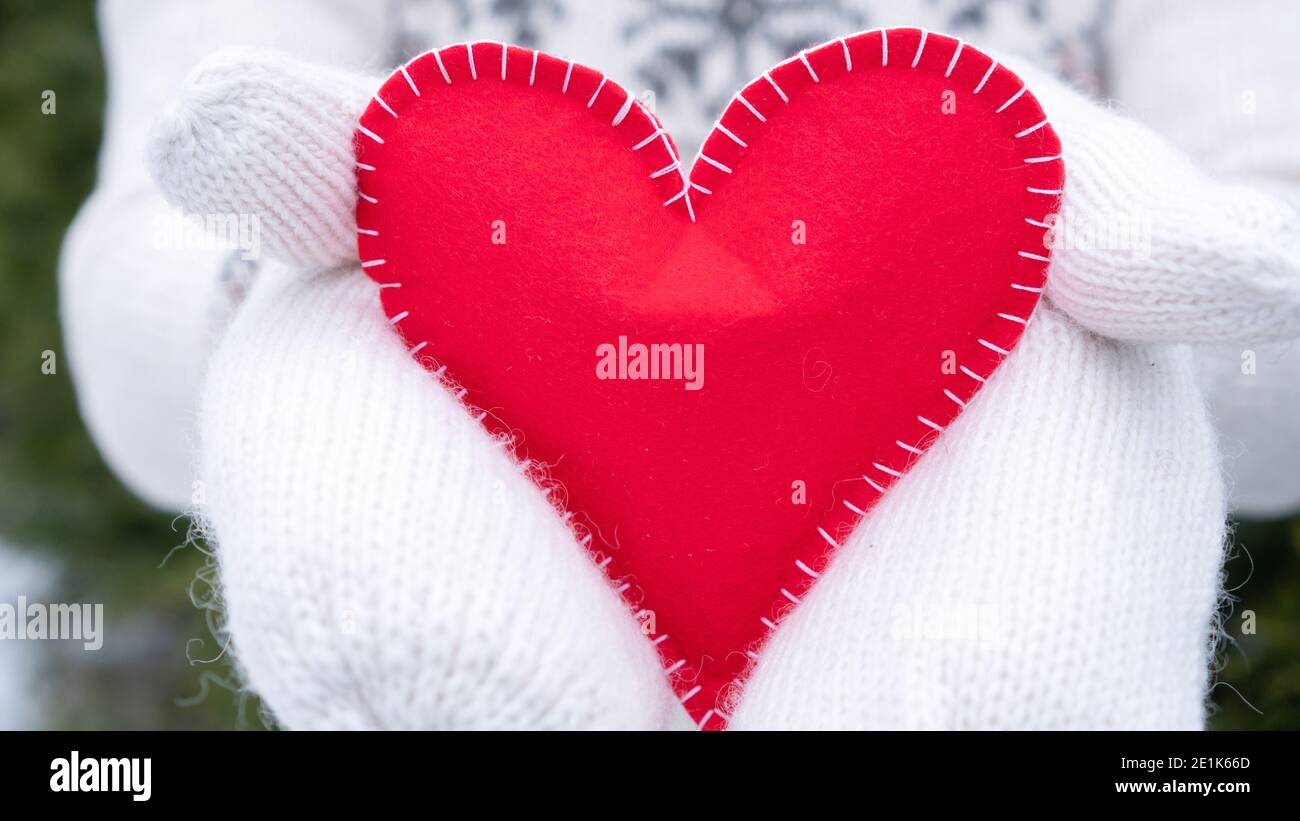 Cœur Rouge Gros Plan Comme Un Concept De Declaration D Amour Pour La Saint Valentin Une Femme En Mitaines De Laine Blanche Tient Son Coeur A Son Bien Aime Rouge Il Photo Stock Alamy