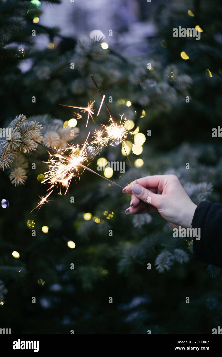 Main de fille tenant des spamisseurs sur le fond d'un Noël arbre avec lumières Banque D'Images