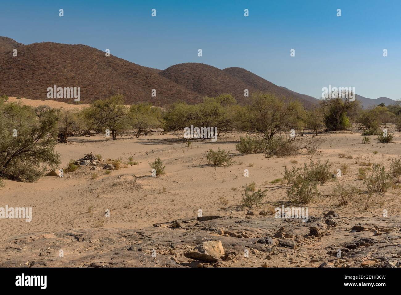 Paysage le long de la rivière Kunene dans le nord de la Namibie Banque D'Images