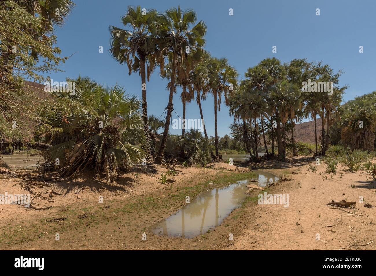 Paysage le long de la rivière Kunene dans le nord de la Namibie Banque D'Images