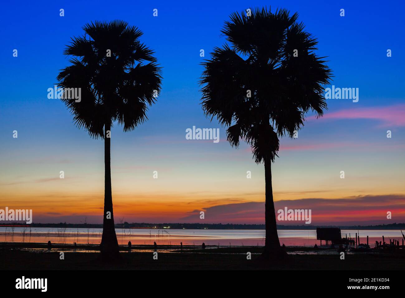 palmier sur le ciel de coloful au coucher du soleil Banque D'Images