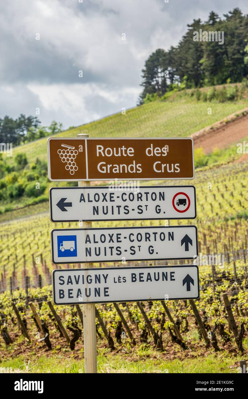 Bourgogne France 19 mai 2013 : panneau indiquant la route des Grands crus, ou littéralement de grands vins Banque D'Images