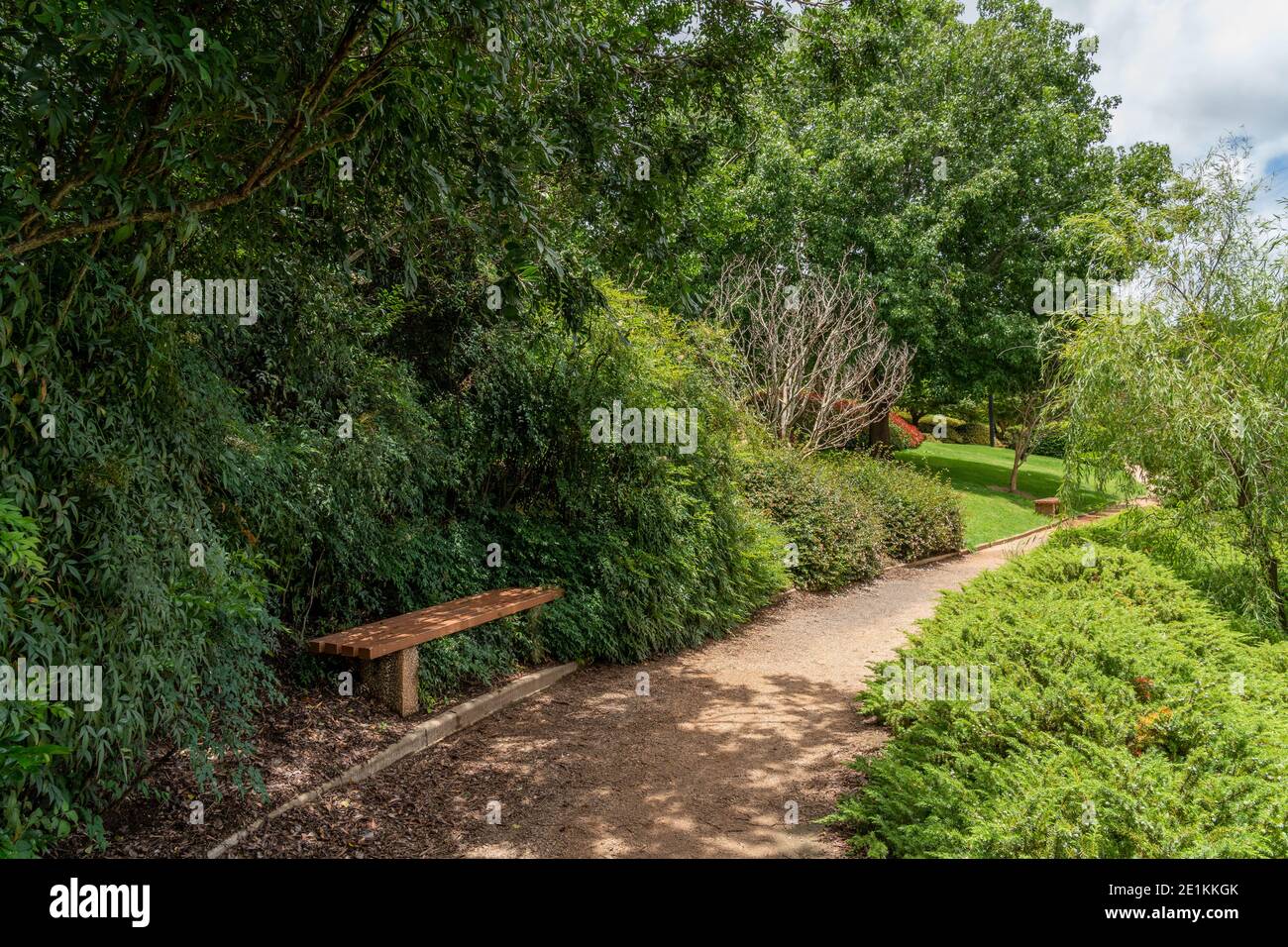 Banc de parc ombragé près d'un sentier à pied aux Japonais Jardins à Toowoomba Banque D'Images