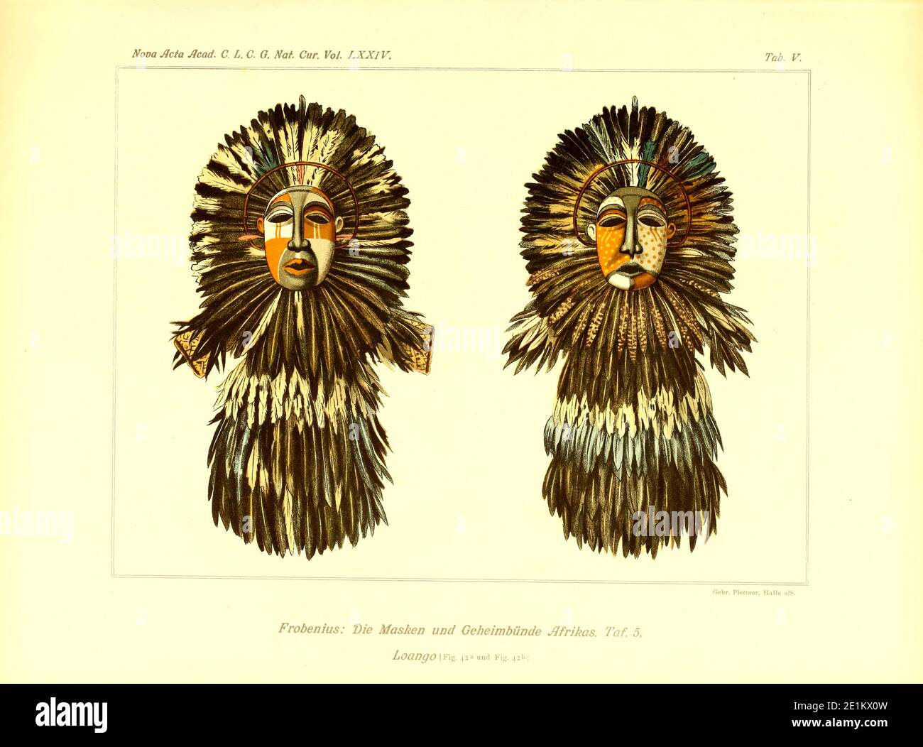Masques du livre allemand ' Die Masken und Geheimbünde Afrikas ' [les masques et les sociétés secrètes d'Afrique] publié à Leipzig, Allemagne en 1898 Banque D'Images