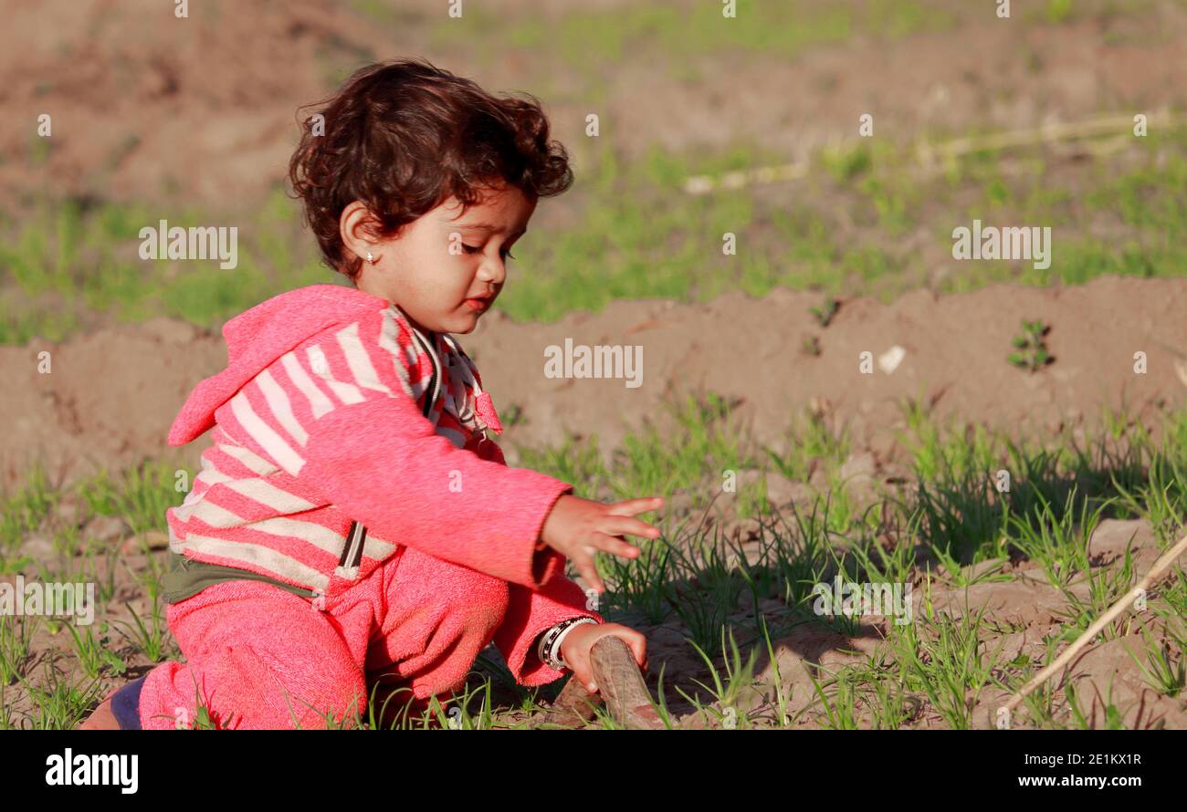 Un bel enfant indien qui détruit les mauvaises herbes dans le champ, jeune enfant agriculteur Banque D'Images