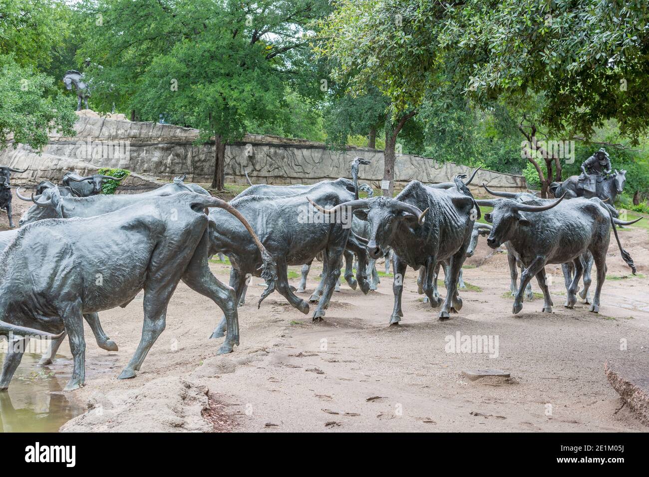 Statues géantes de taureaux au Pioneer Plaza à Dallas, Texas, États-Unis. Banque D'Images
