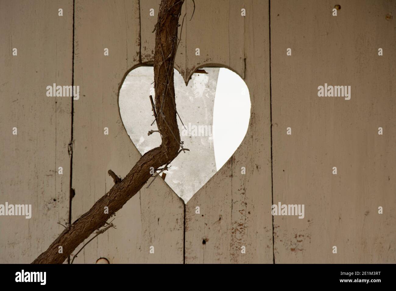 Ouverture en forme de coeur dans une porte en bois encadrée par la vigne tordante, créant une esthétique romantique dans un environnement naturel. France Banque D'Images