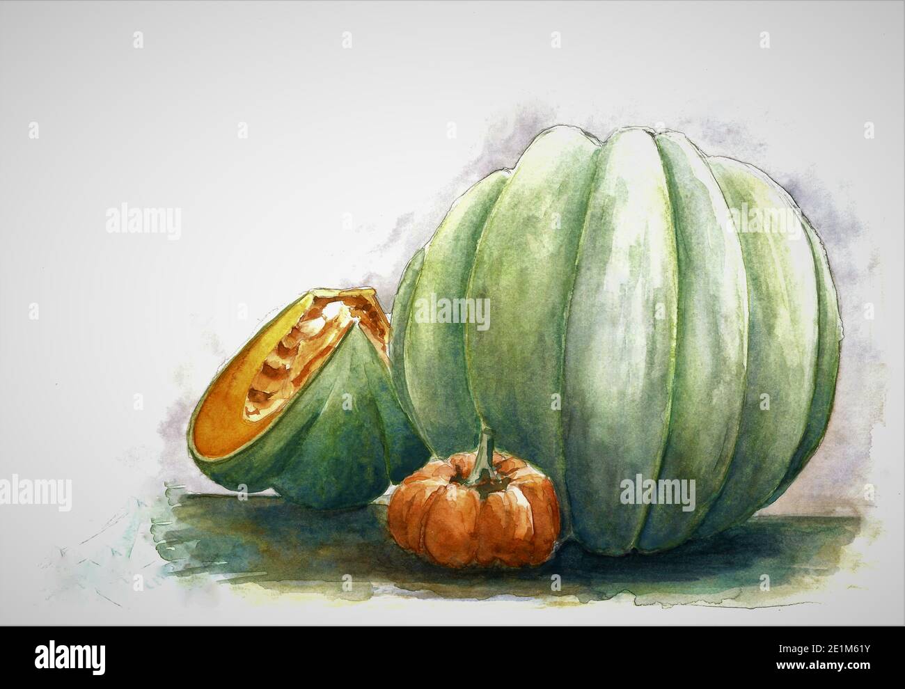 Citrouilles. Peinture à la citrouille verte et orange. Aquarelle dessinée à la main sur fond blanc. Œuvres d'art. Peint par le photographe. Banque D'Images