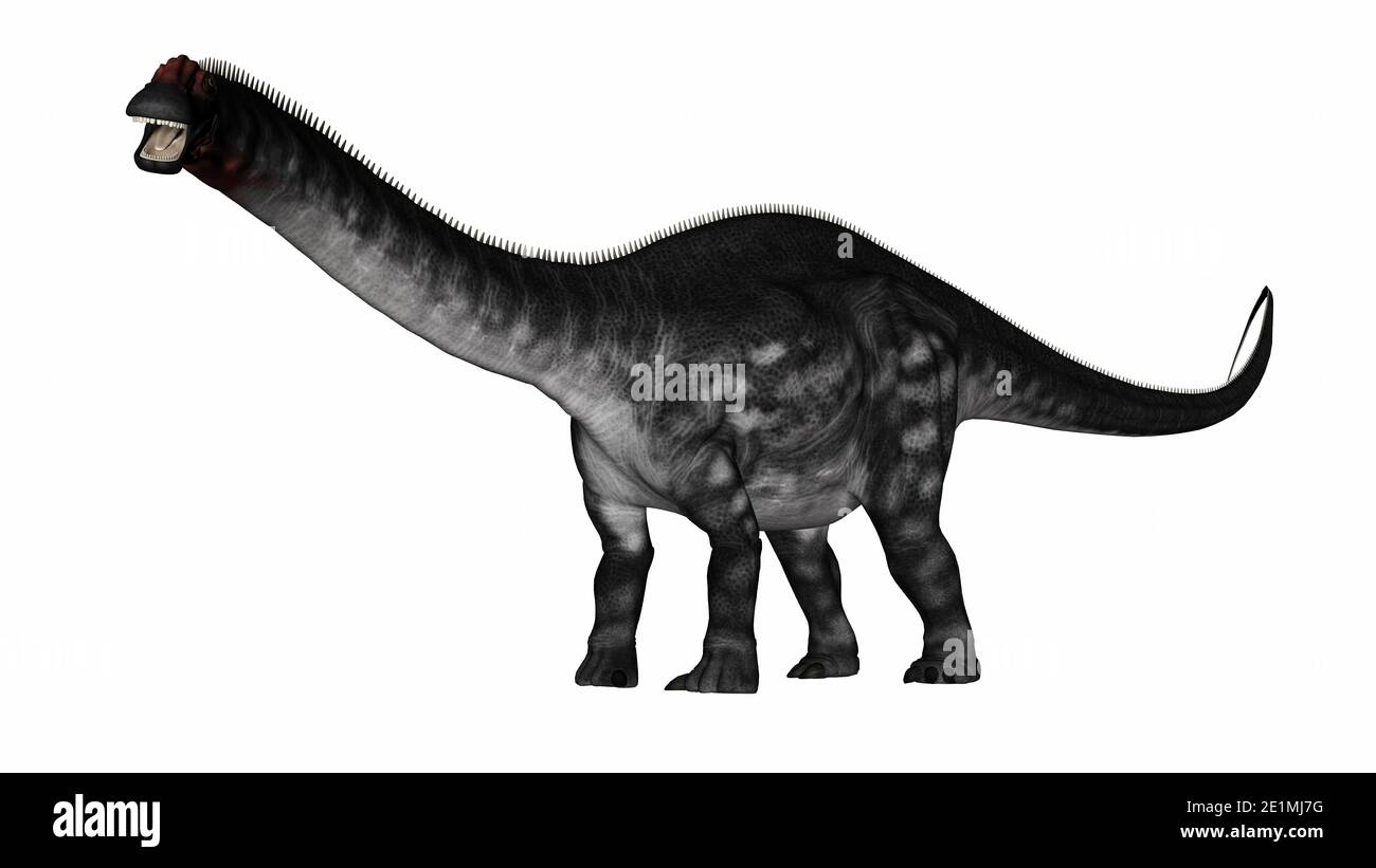 Apatosaurus dinosaurwalking - rendu 3D Banque D'Images
