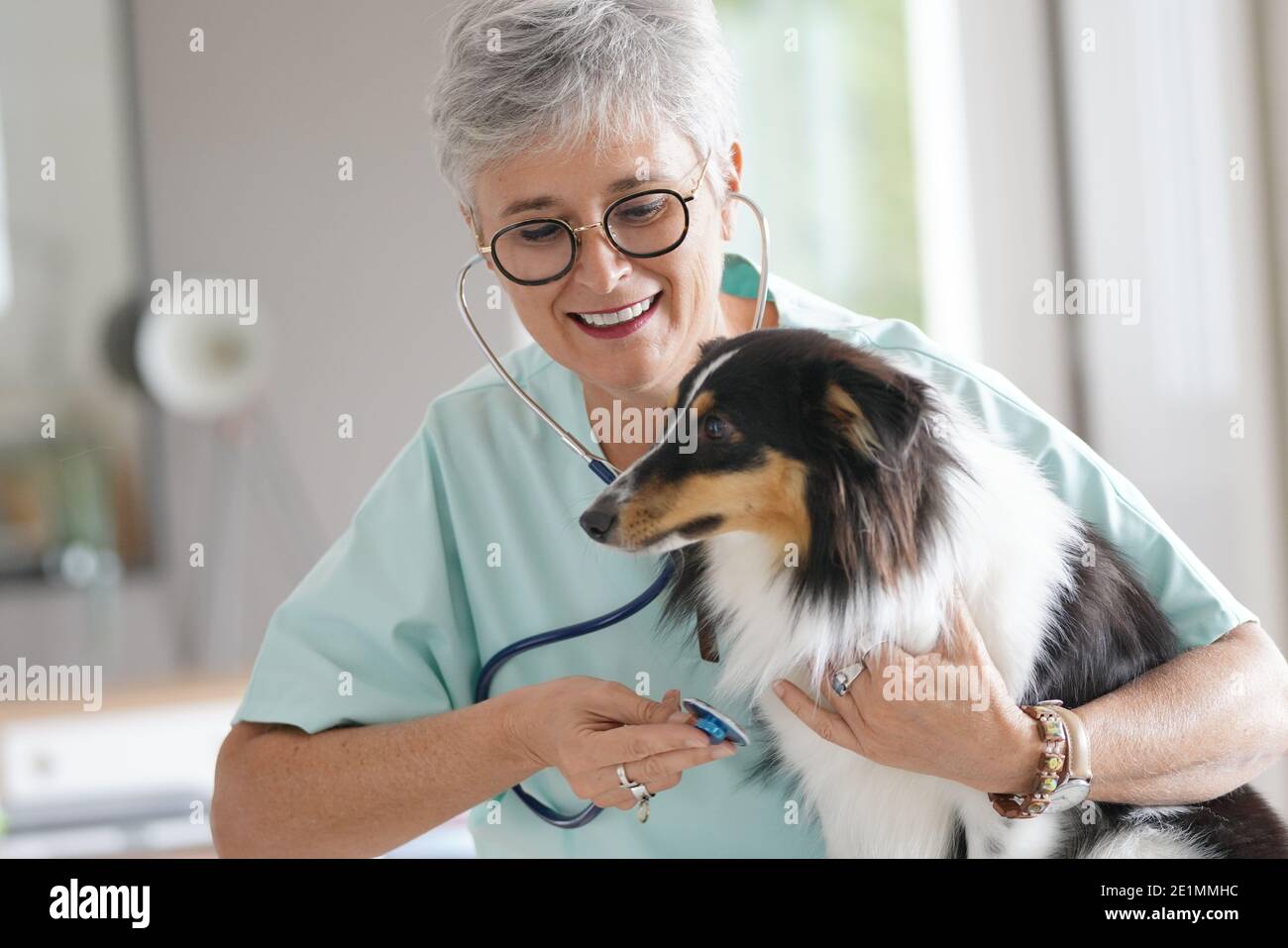 Femme vétérinaire gaie avec chien Banque D'Images