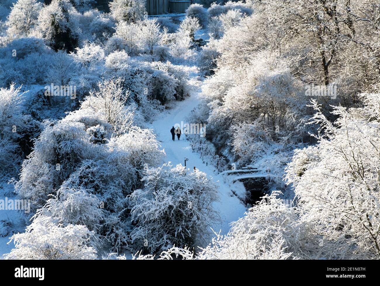 Météo, le 8 janvier 2021. Les gens marchent après une chute de neige fraîche dans le parc régional d'Almondell, West Lothian, Écosse, Royaume-Uni. . Crédit : Ian Rutherford/Alay Live News. Banque D'Images