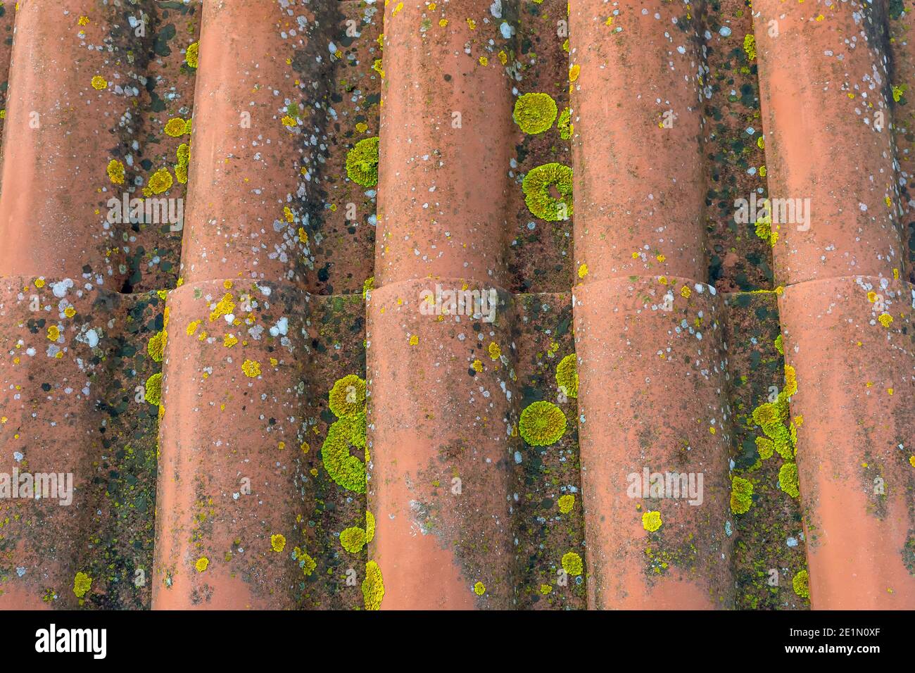Texture colorée sur un toit en terre cuite recouvert de mousse et moisissure après des années d'exposition au soleil et pluie Banque D'Images