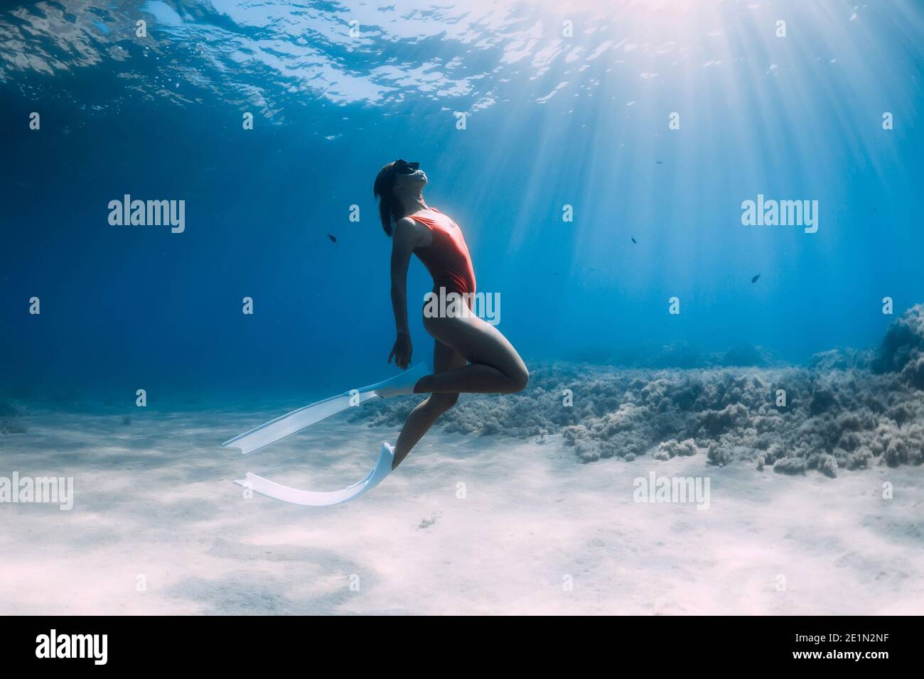 Belle femme freediver avec des nageoires blanches posant sous l'eau dans la mer tropicale. Banque D'Images