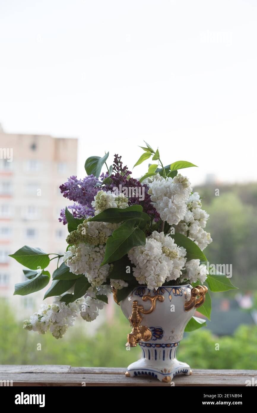 Un magnifique bouquet de lilas dans un vase. Le vase a la forme d'un samovar. Banque D'Images