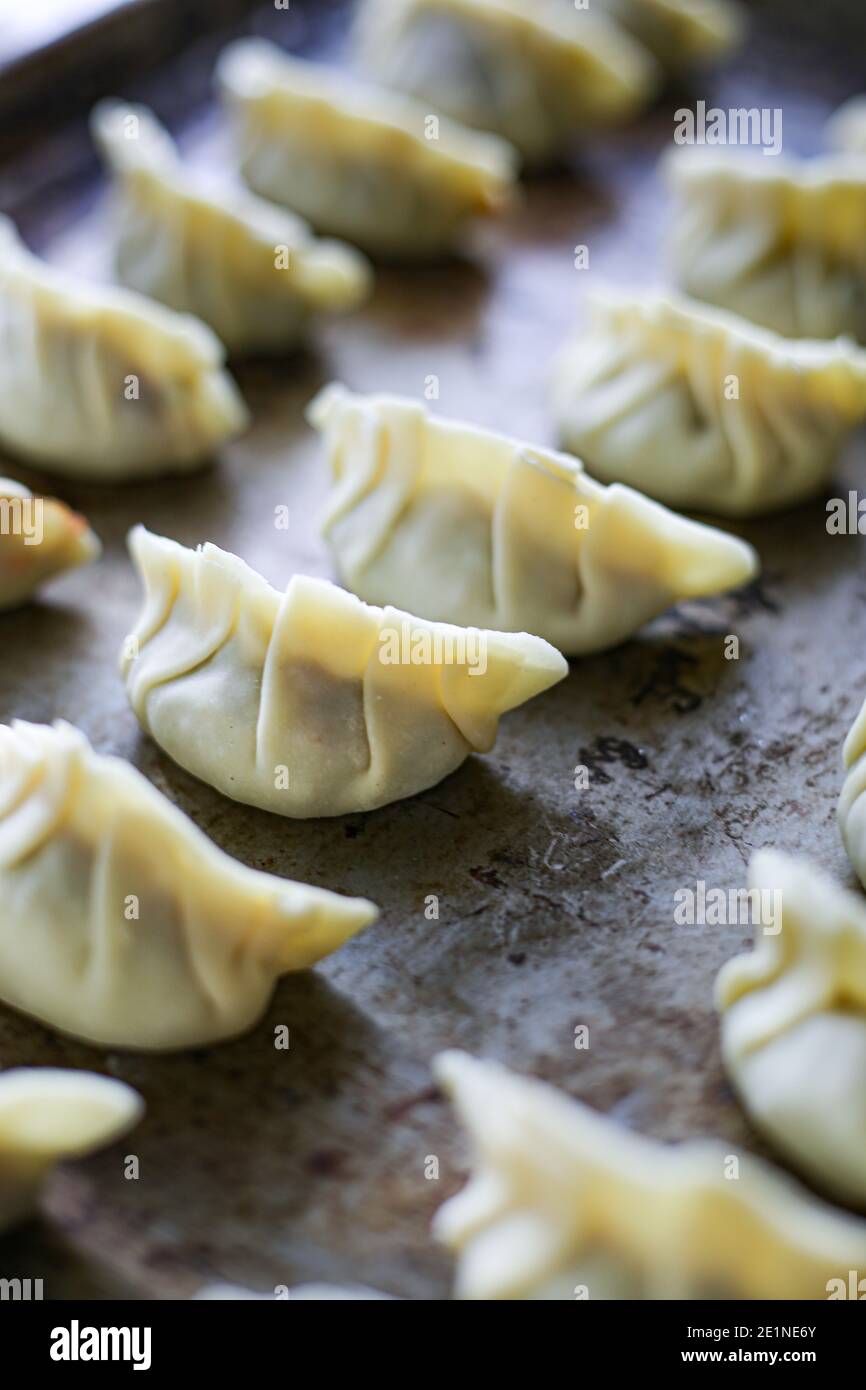 Boulettes de gyoza Banque D'Images