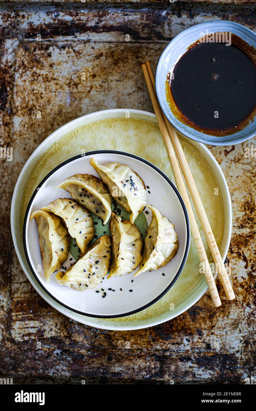 Boulettes de gyoza Banque D'Images