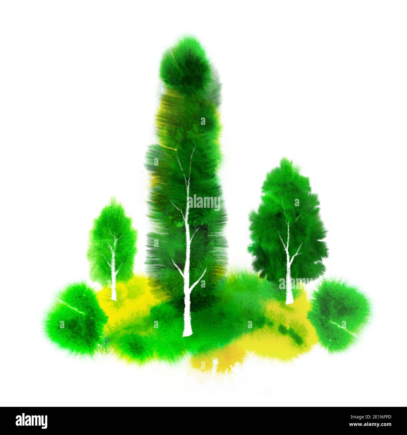 un paysage avec des forêts et des arbres Banque D'Images
