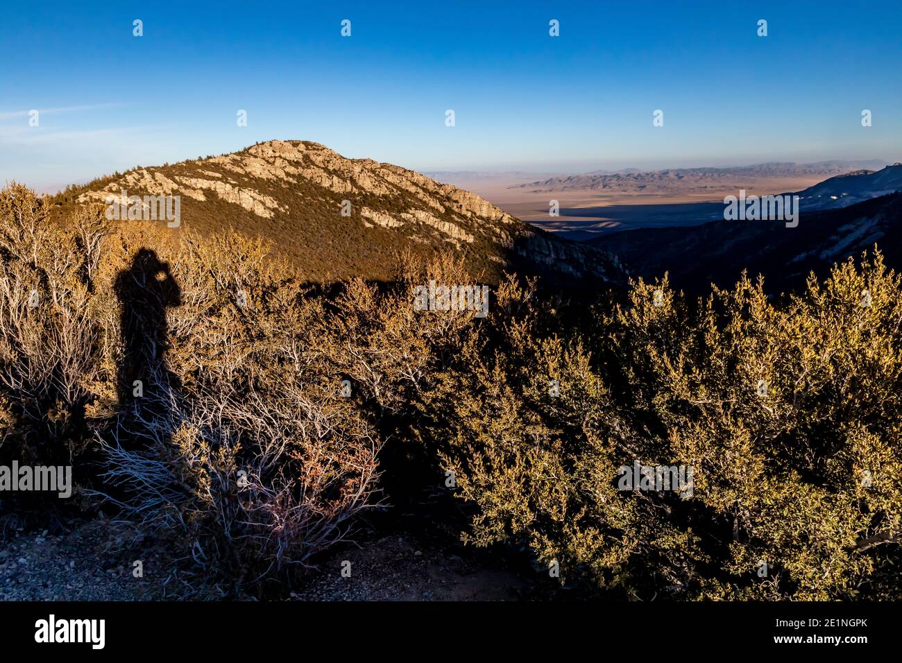 Vue depuis Mather dans le parc national de Great Basin, Nevada, États-Unis Banque D'Images