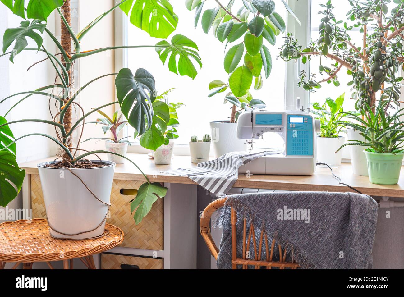 Concept de maison écologique, soin de la maison. Lieu de travail pour les passe-temps et la couture. Banque D'Images