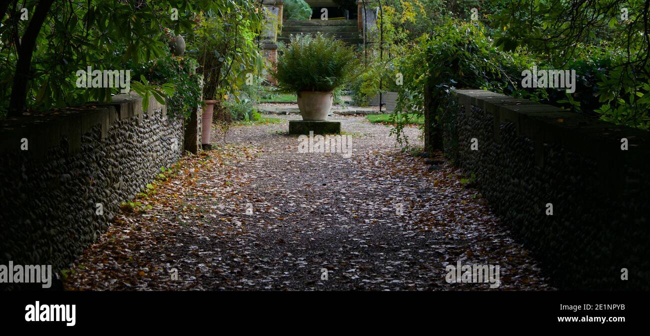 Jardinière en terre cuite pleine de fougères avec murs en pierre à côté du chemin avec espace de copie Banque D'Images