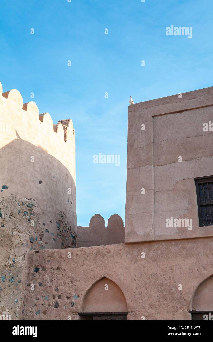 Une colombe blanche ou un pigeon assis sur la fortification du fort Fujairah, Émirats arabes Unis Banque D'Images