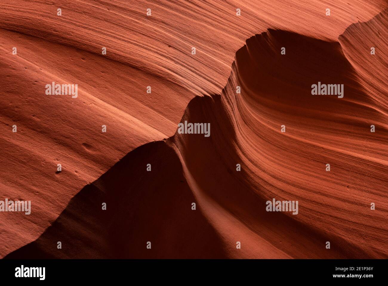 Détails abstraits de la fente orange du mur du canyon, Antelope Canyon X, page, Arizona, États-Unis Banque D'Images