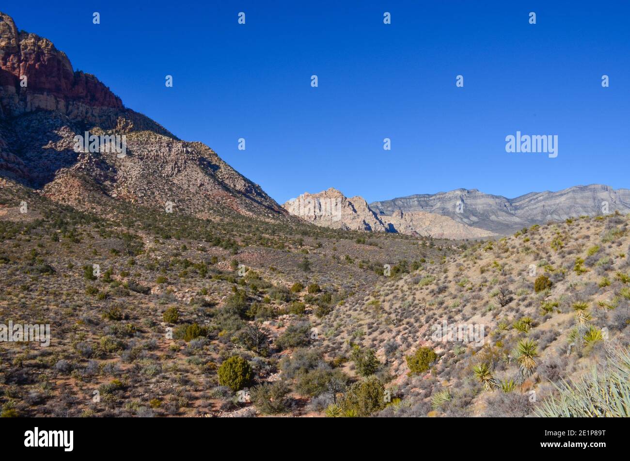 Red Rock Canyon National conservation Area, Las Vegas, Nevada, États-Unis. Décembre 2020. Banque D'Images