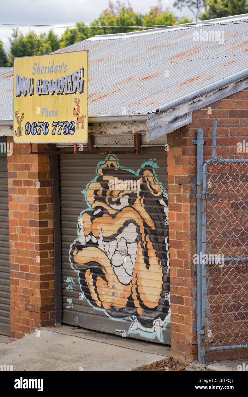 Une image humoristique d'un chien grognant peint sur une porte de garage à roulettes dans un salon de toilettage de chiens dans l'ouest de Sydney, en Australie Banque D'Images