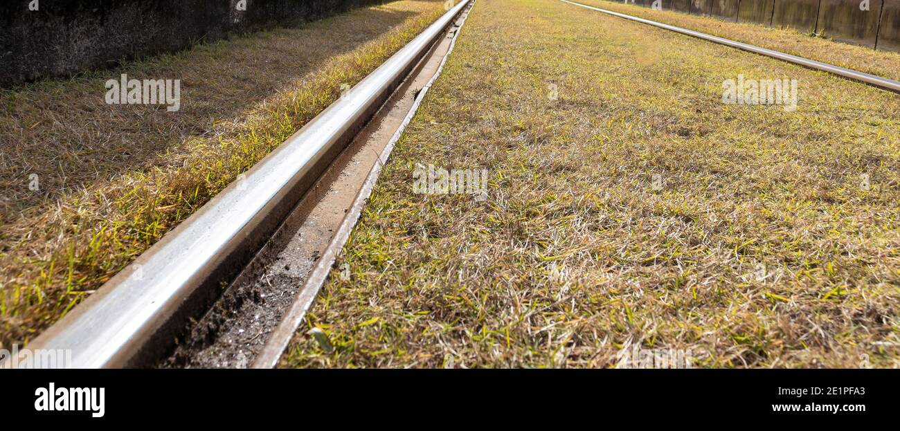 Point de vue de la grenouille, de 2 voies de tramway et de l'herbe qui pousse entre elles. Banque D'Images