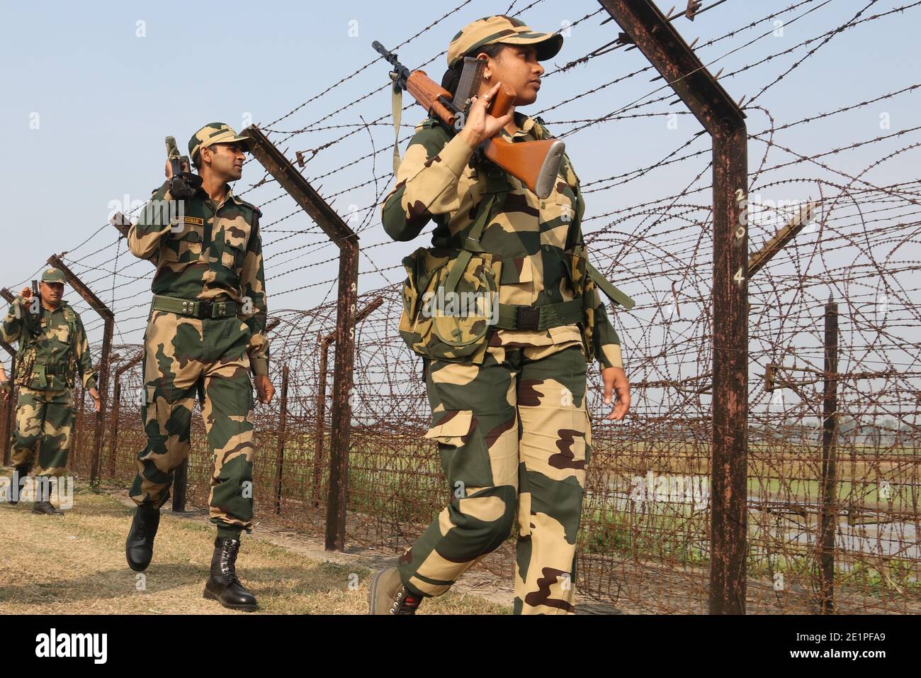 Kolkata, Inde. 08 janvier 2021. Soldats de la Force de sécurité frontalière indienne (FSB) avec des chiens patrouilleurs au nord 24 Pargana à la frontière entre l'Inde et le Bangladesh, à la périphérie de Kolkata. (Photo de Dipa Chakraborty/Pacific Press) crédit: Pacific Press Media production Corp./Alay Live News Banque D'Images