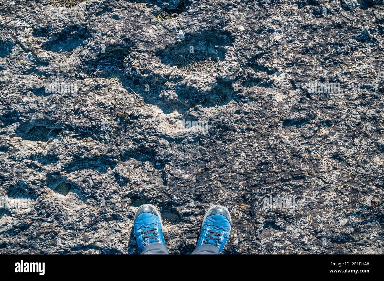 Ichnite, piste fossile, empreinte, Enteledon, Sant Mateu de Bages, Catalogne, Espagne Banque D'Images