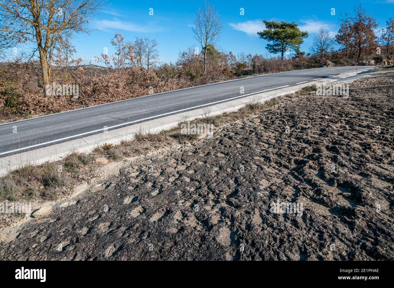 Ichnite, piste fossile, empreinte, Enteledon, Sant Mateu de Bages, Catalogne, Espagne Banque D'Images
